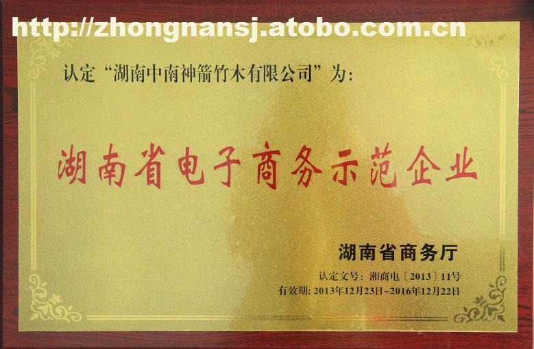 

電子商務(wù)示范標(biāo)準(zhǔn)企業(yè)規(guī)范及示范類型企業(yè)發(fā)展規(guī)范(圖2)